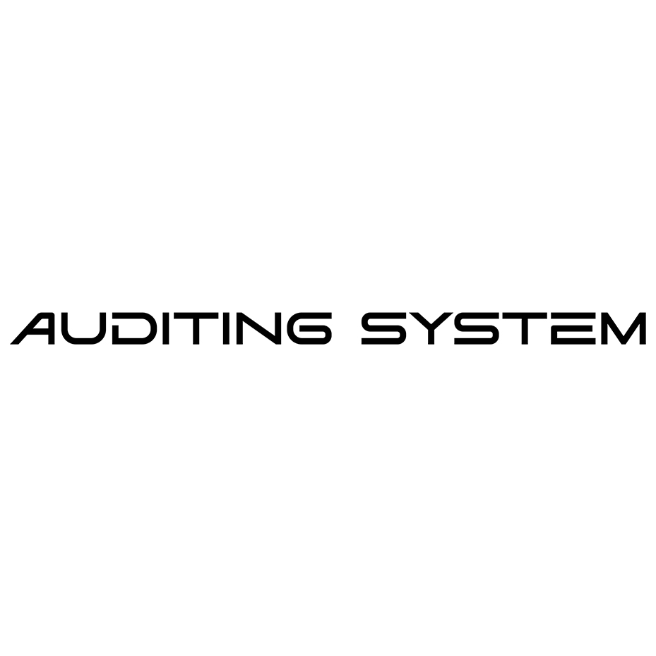 Auditing System